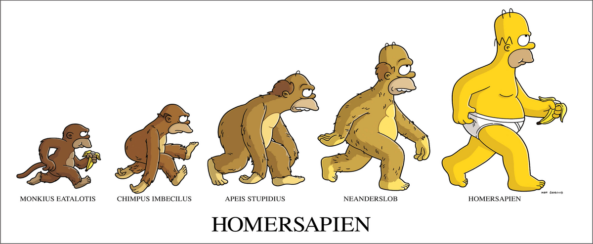 Simpsons Mok – Homer Evolutie – 11oz