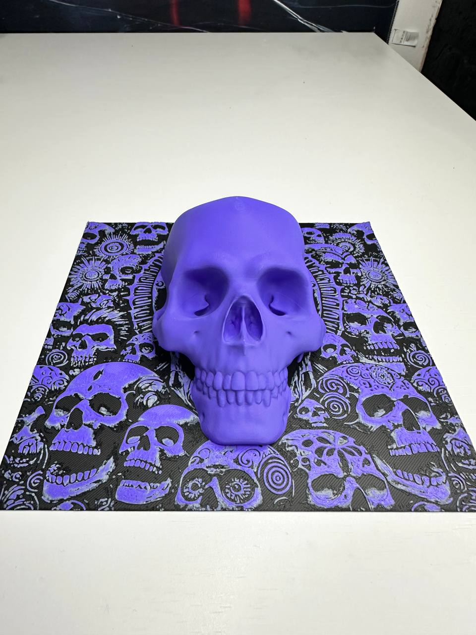 Acusinkt Skull Wall Art, schuin vooraanzicht op tafel