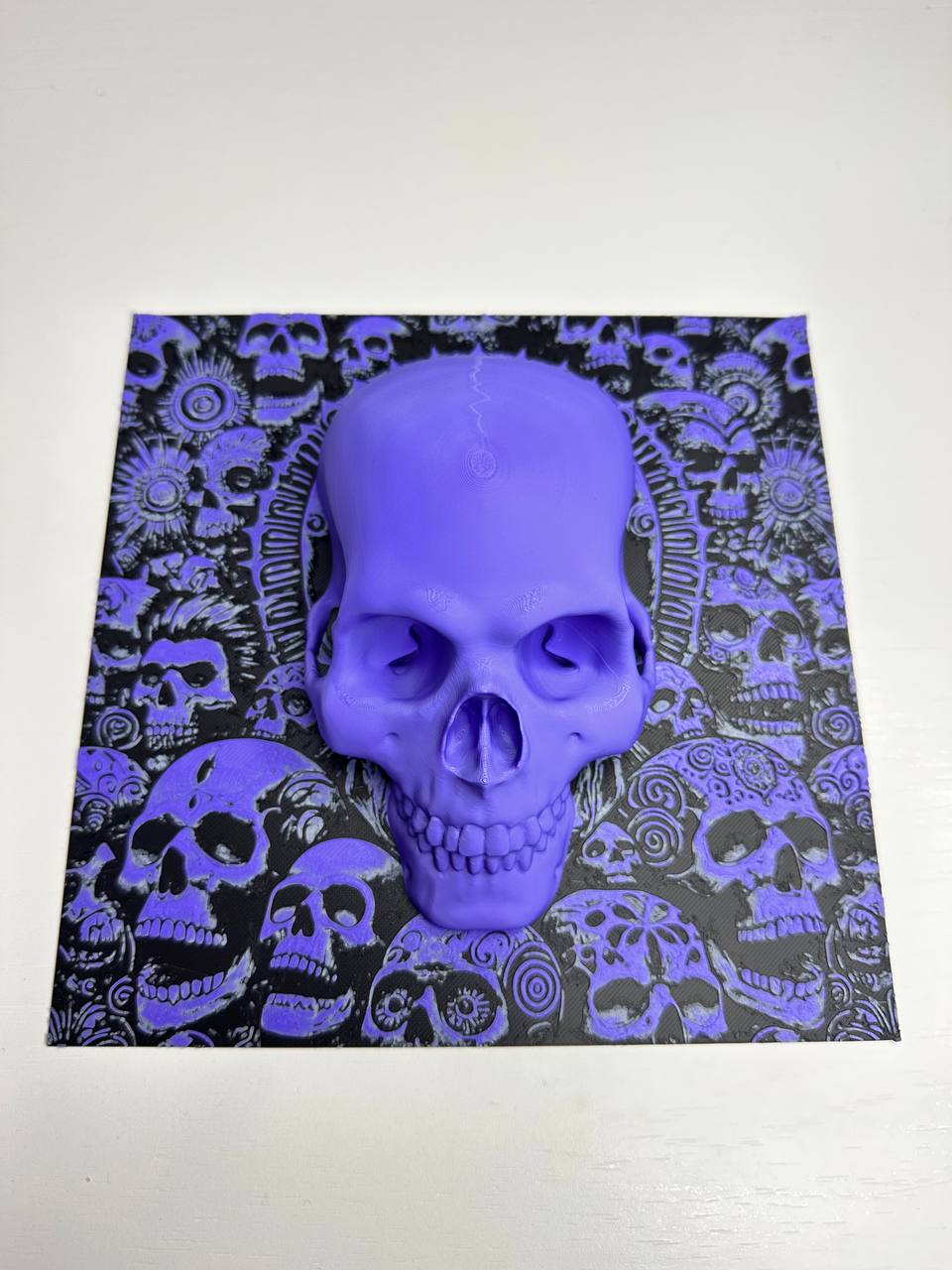 Acusinkt Skull Wall Art, volledig vooraanzicht van het paneel van 19 x 19 cm