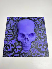 Acusinkt Skull Wall Art, volledig vooraanzicht van het paneel van 19 x 19 cm